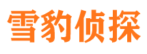 红寺堡市婚姻调查